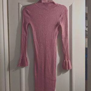 Gianni Bini winter knit dress